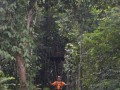 Tn DSC 4328